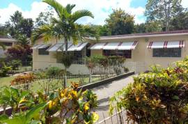 4 Bedrooms 3 Bathrooms, House for Sale in Mandeville