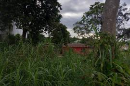 4 Bedrooms 3 Bathrooms, House for Sale in Mandeville