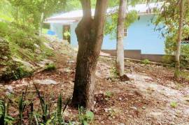 4 Bedrooms 1 Bathrooms, House for Sale in Porus