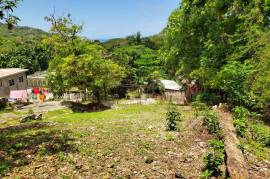 4 Bedrooms 3 Bathrooms, House for Sale in Montego Bay