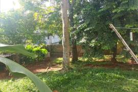 4 Bedrooms 3 Bathrooms, House for Sale in Mandeville