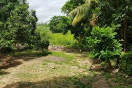 4 Bedrooms 2 Bathrooms, House for Sale in Spanish Town