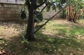 4 Bedrooms 3 Bathrooms, House for Sale in Montego Bay