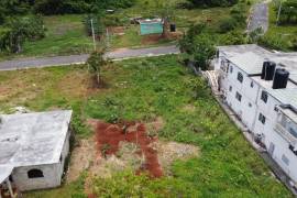 2 Bedrooms 1 Bathrooms, House for Sale in Browns Town