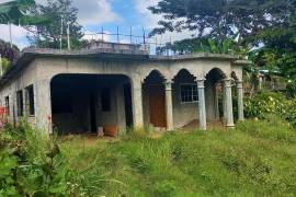 1 Bedrooms 1 Bathrooms, House for Sale in Moneague