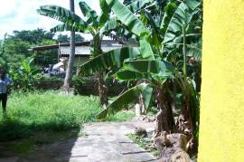 3 Bedrooms 2 Bathrooms, House for Sale in Linstead