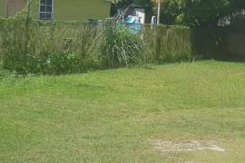 2 Bedrooms 1 Bathrooms, House for Sale in Negril