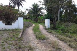 3 Bedrooms 1 Bathrooms, House for Sale in Linstead