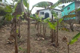 2 Bedrooms 1 Bathrooms, House for Sale in Montego Bay