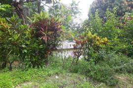 1 Bedrooms 1 Bathrooms, House for Sale in Saint Ann's Bay