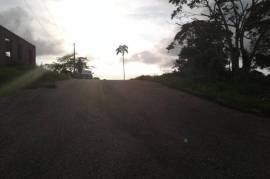 8 Bedrooms 4 Bathrooms, House for Sale in Mandeville