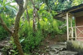 3 Bedrooms 3 Bathrooms, House for Sale in Port Antonio