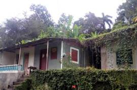 3 Bedrooms 3 Bathrooms, House for Sale in Port Antonio