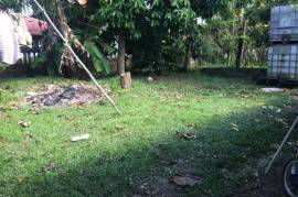 2 Bedrooms 1 Bathrooms, House for Sale in Bog Walk