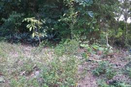 2 Bedrooms 1 Bathrooms, House for Sale in Oracabessa