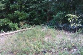 2 Bedrooms 1 Bathrooms, House for Sale in Oracabessa