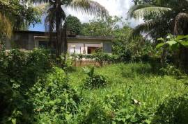 3 Bedrooms 1 Bathrooms, House for Sale in Linstead