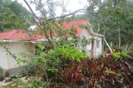 2 Bedrooms 1 Bathrooms, House for Sale in Mile Gully