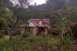 2 Bedrooms 1 Bathrooms, House for Sale in Mile Gully