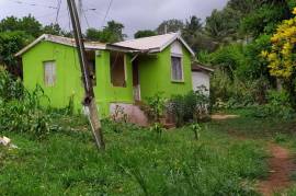 2 Bedrooms 1 Bathrooms, House for Private in Mandeville