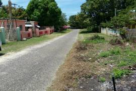 2 Bedrooms 1 Bathrooms, House for Sale in Black River