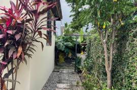 3 Bedrooms 3 Bathrooms, House for Rent in Kingston 8