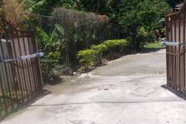 1 Bedrooms 1 Bathrooms, House for Rent in Kingston 6