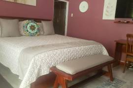 1 Bedrooms 1 Bathrooms, House for Rent in Kingston 6