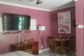 1 Bedrooms 1 Bathrooms, House for Rent in Kingston 6