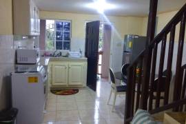 13 Bedrooms 13 Bathrooms, Apartment for Sale in Kingston 8