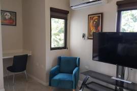 1 Bedrooms 2 Bathrooms, Apartment for Sale in Kingston 6