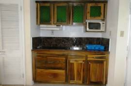 1 Bathrooms, Apartment for Sale in Negril