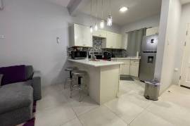 1 Bedrooms 2 Bathrooms, Apartment for Sale in Kingston 8