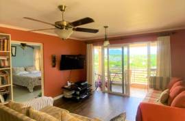 2 Bedrooms 2 Bathrooms, Apartment for Sale in Kingston 19