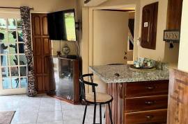 1 Bedrooms 1 Bathrooms, Apartment for Sale in Ocho Rios