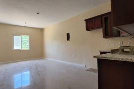 1 Bedrooms 1 Bathrooms, Apartment for Sale in Kingston 19