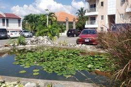 1 Bedrooms 1 Bathrooms, Apartment for Sale in Kingston 6