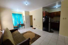 1 Bedrooms 1 Bathrooms, Apartment for Sale in Kingston 6