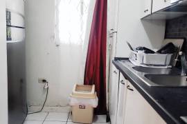 1 Bedrooms 1 Bathrooms, Apartment for Sale in Kingston 6