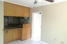 1 Bedrooms 1 Bathrooms, Apartment for Sale in Kingston 8