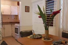 1 Bedrooms 1 Bathrooms, Apartment for Sale in Kingston 8