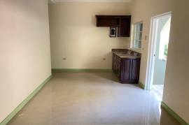 1 Bedrooms 1 Bathrooms, Apartment for Sale in Kingston 19