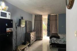 1 Bedrooms 1 Bathrooms, Apartment for Sale in Kingston 6