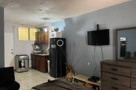 1 Bedrooms 1 Bathrooms, Apartment for Sale in Kingston 6