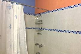 1 Bedrooms 1 Bathrooms, Apartment for Sale in Kingston 8