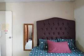 1 Bedrooms 1 Bathrooms, Apartment for Sale in Kingston 3