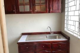 1 Bedrooms 1 Bathrooms, Apartment for Sale in Kingston 3