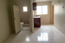 1 Bedrooms 1 Bathrooms, Apartment for Sale in Kingston 3