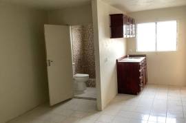 1 Bedrooms 1 Bathrooms, Apartment for Sale in Kingston 3