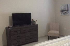 2 Bedrooms 2 Bathrooms, Apartment for Rent in Kingston 8